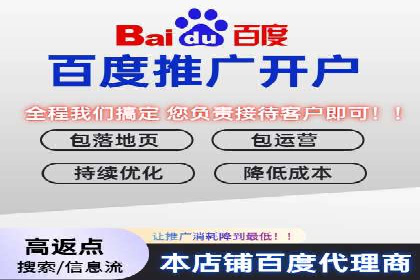 百度推广费用的投入与市场占有率提升的关联案例